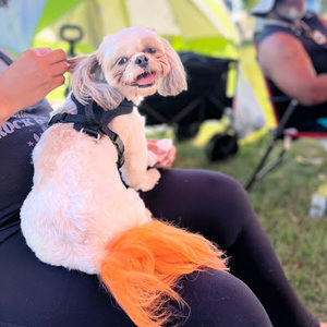 Meet your Posher, Trinity